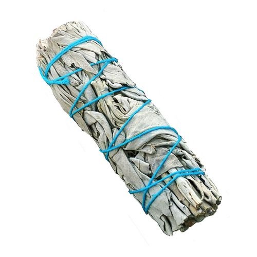 Sauge blanche Californie fagot, sur fond blanc