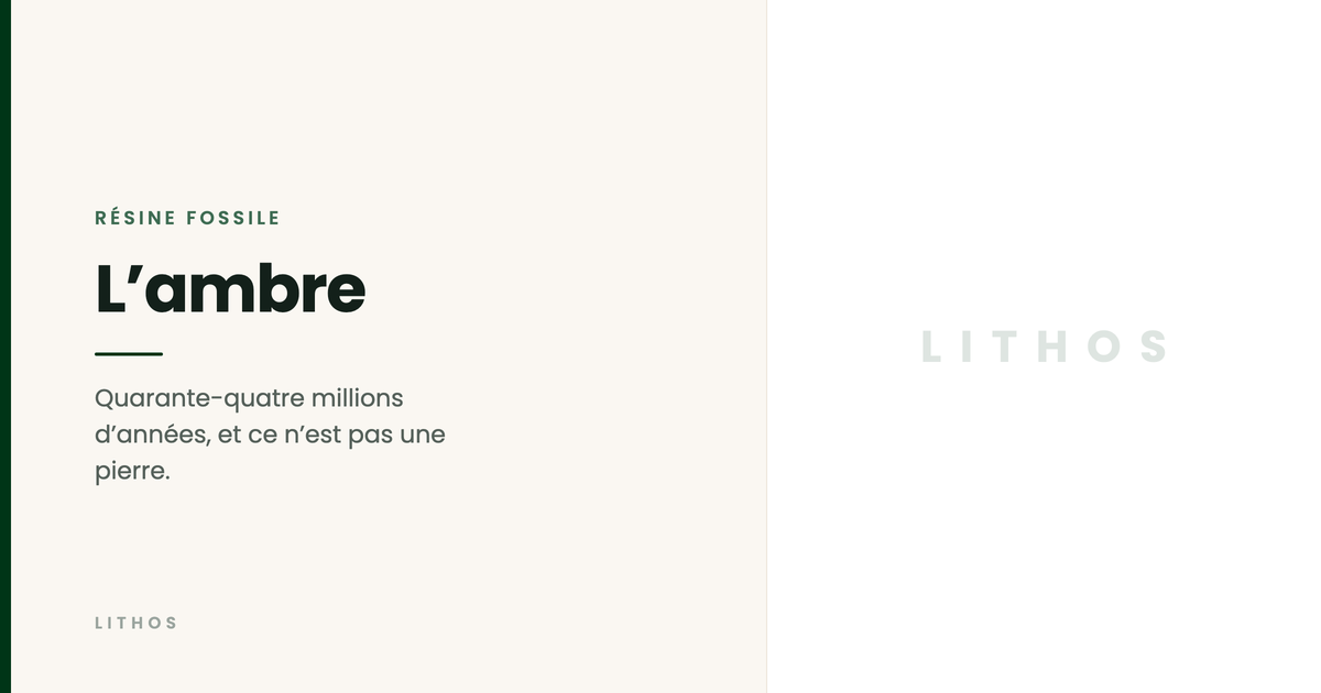 L’ambre — Quarante-quatre millions d’années, et ce n’est pas une pierre.