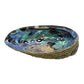 Porte encens coquille d'ormeau 12-14cm